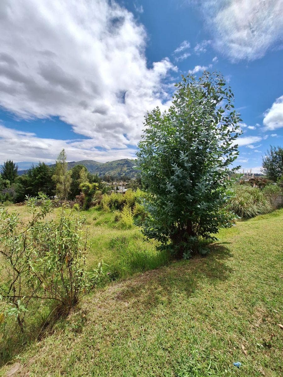 Land Development Opportunity | Los Chillos Valley | Quito – Ecuador — imagen 3