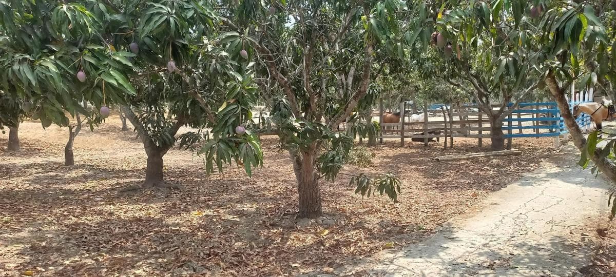 Terrenos de 1500 m² en Lotización Privada en Venta, Guayas — imagen 5