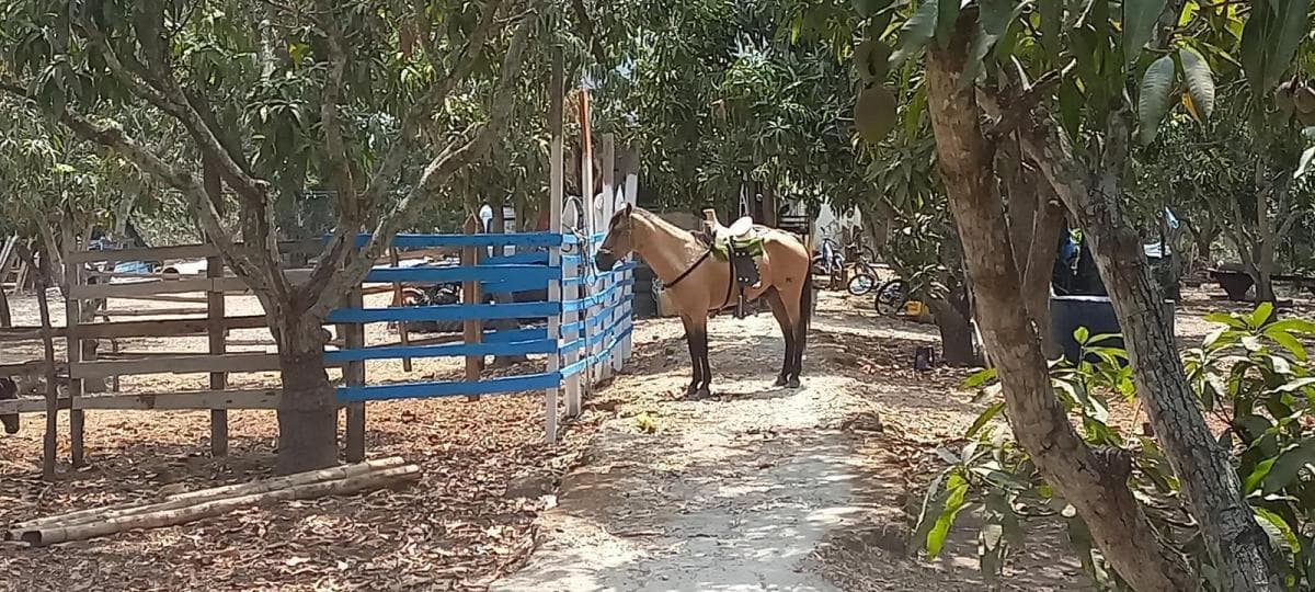 Terrenos de 1500 m² en Lotización Privada en Venta, Guayas — imagen 3