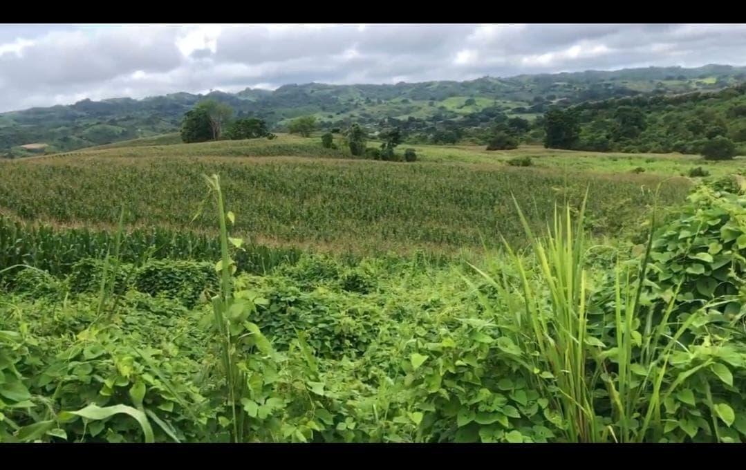 Terreno en venta en Paján, Manabí