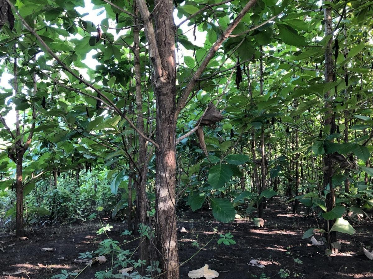 Terreno en Venta, Via Guayas - Manabi Vanc, Manabí — imagen 8