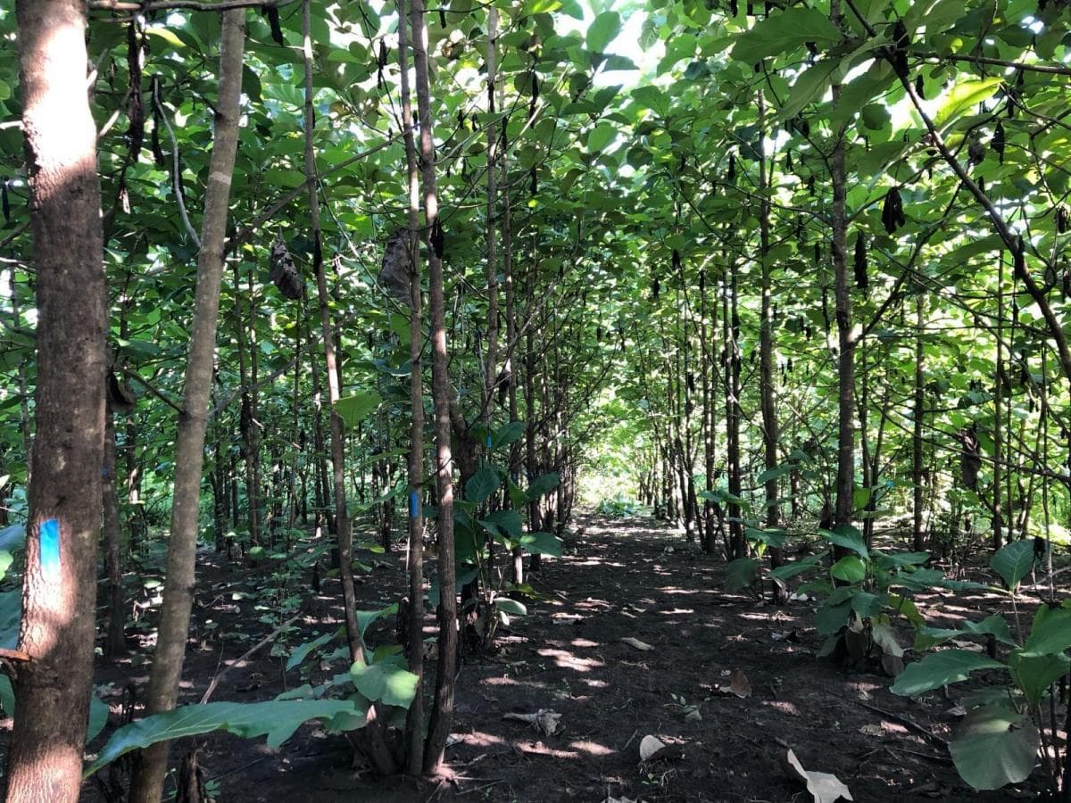 Terreno en Venta, Via Guayas - Manabi Vanc, Manabí — imagen 7