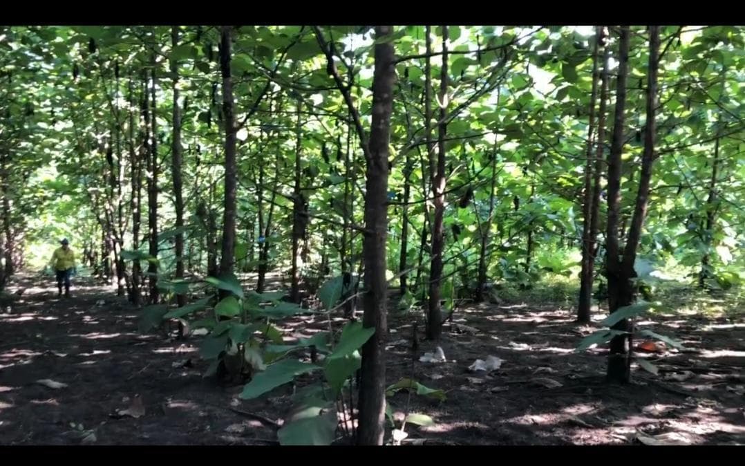 Terreno en Venta, Via Guayas - Manabi Vanc, Manabí — imagen 5
