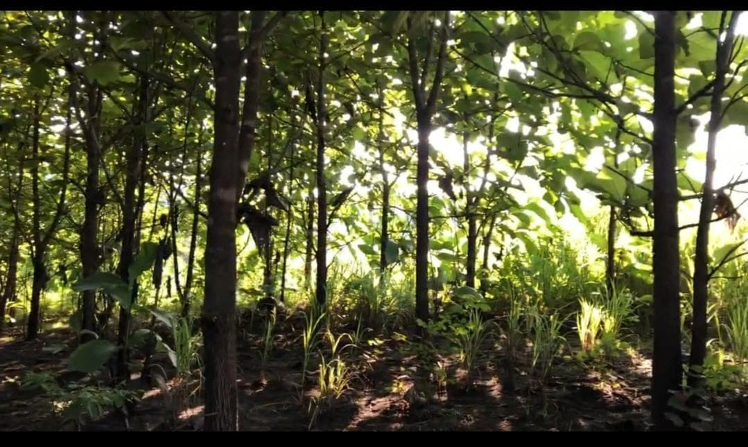 Terreno en Venta, Via Guayas - Manabi Vanc, Manabí — imagen 4