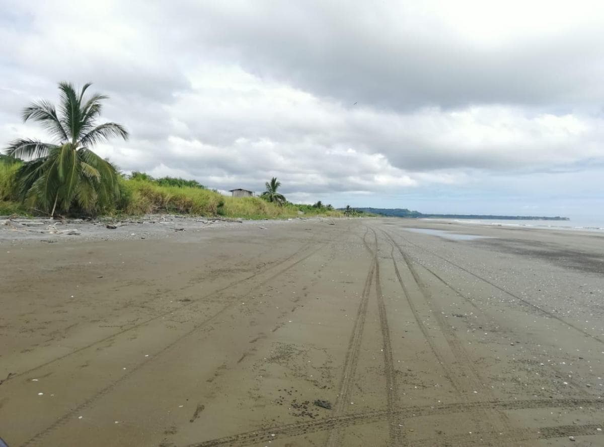 Venta - Playa - Has - Terreno - Paufi - Esmeraldas — imagen 8