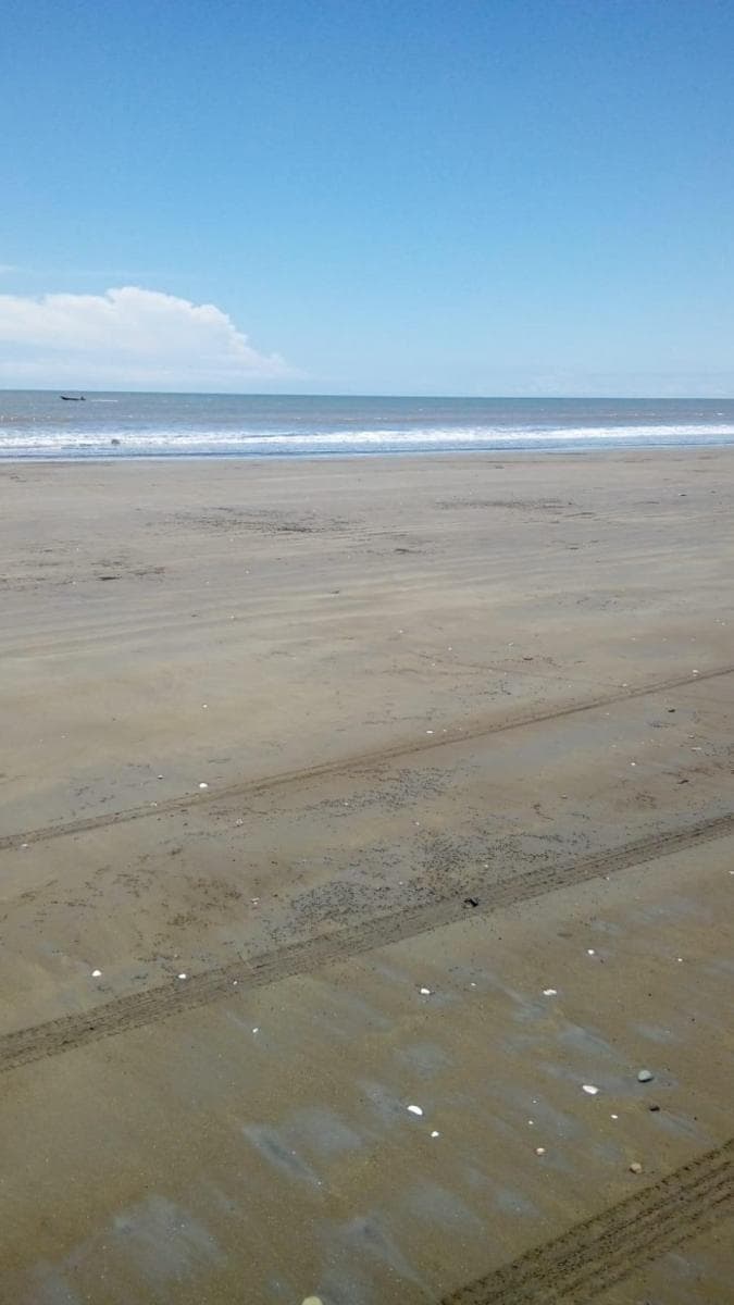Venta - Playa - Has - Terreno - Paufi - Esmeraldas — imagen 6