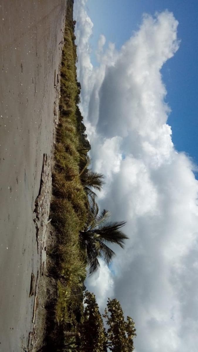 Venta - Playa - Has - Terreno - Paufi - Esmeraldas — imagen 4