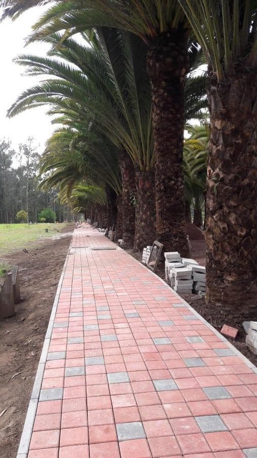 Lotes de Venta - Urbanización Privada - Puembo — imagen 10