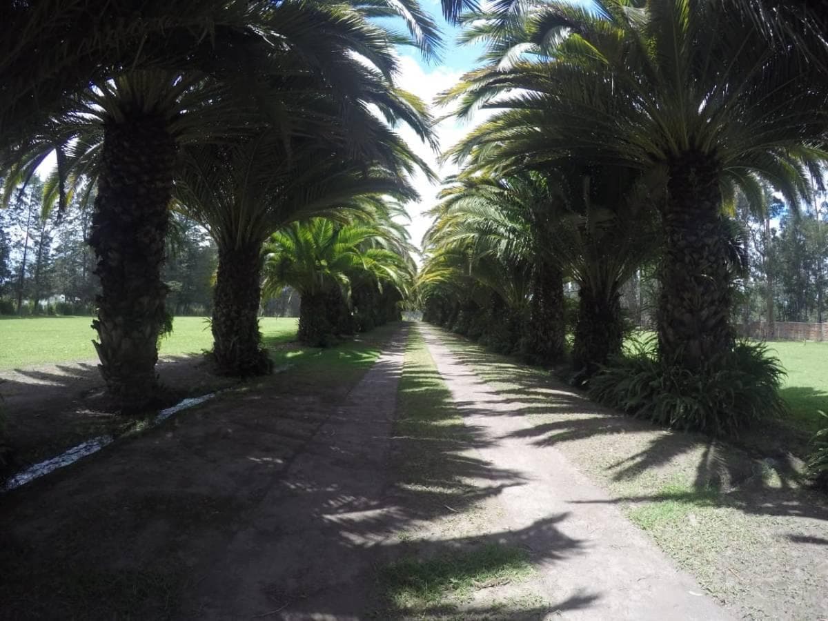 Lotes de Venta - Urbanización Privada - Puembo — imagen 9