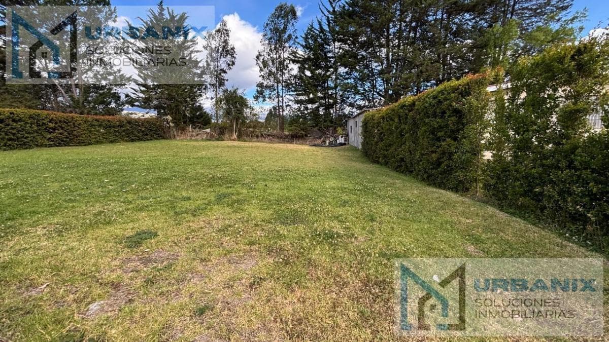 Terreno en Puembo — imagen 8