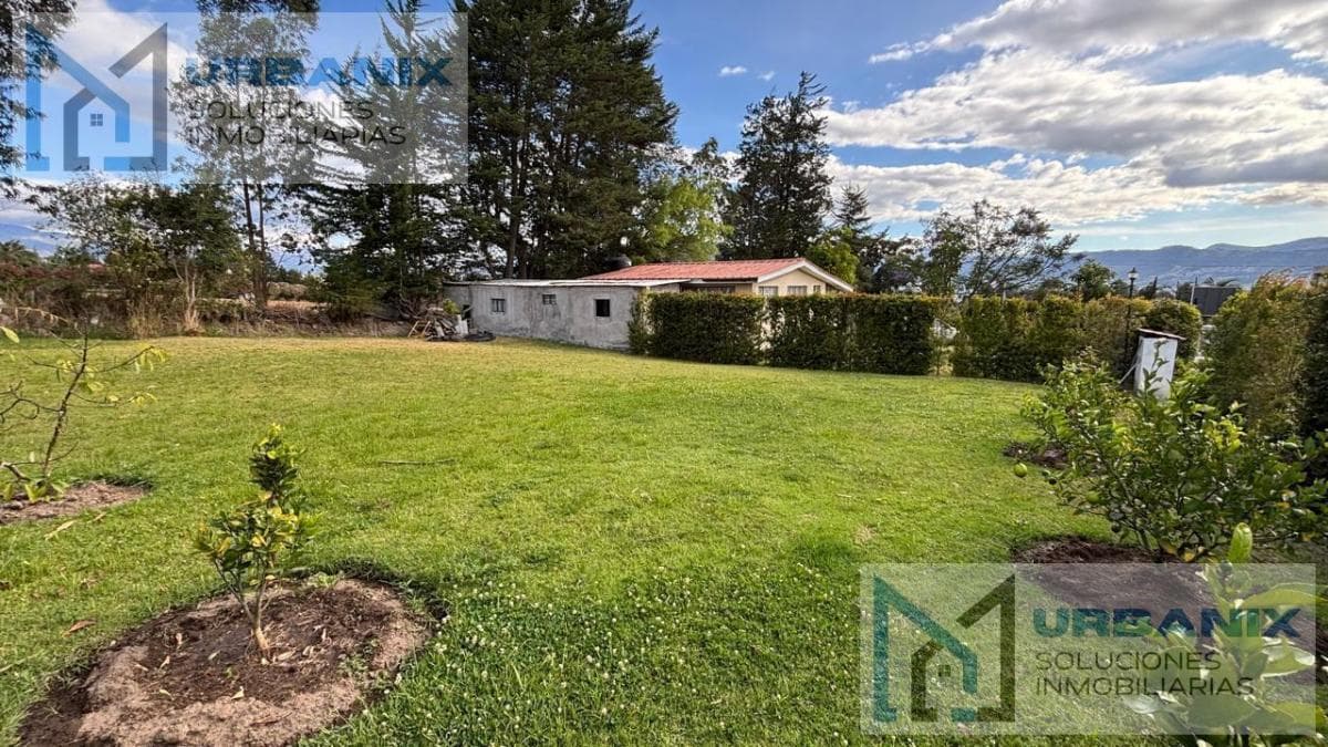 Terreno en Puembo — imagen 5