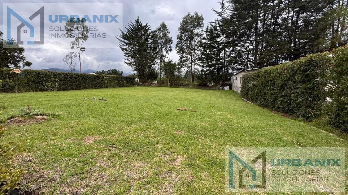 Terreno en Puembo — imagen 4