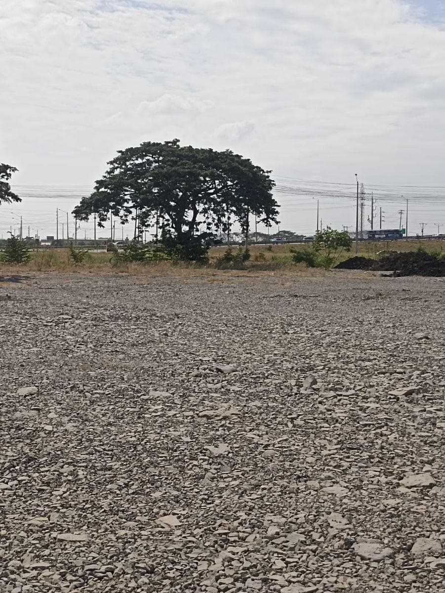 Terreno en Venta 2.100 m² - Zona Industrial, Durán - Ecuador, Guayas — imagen 4