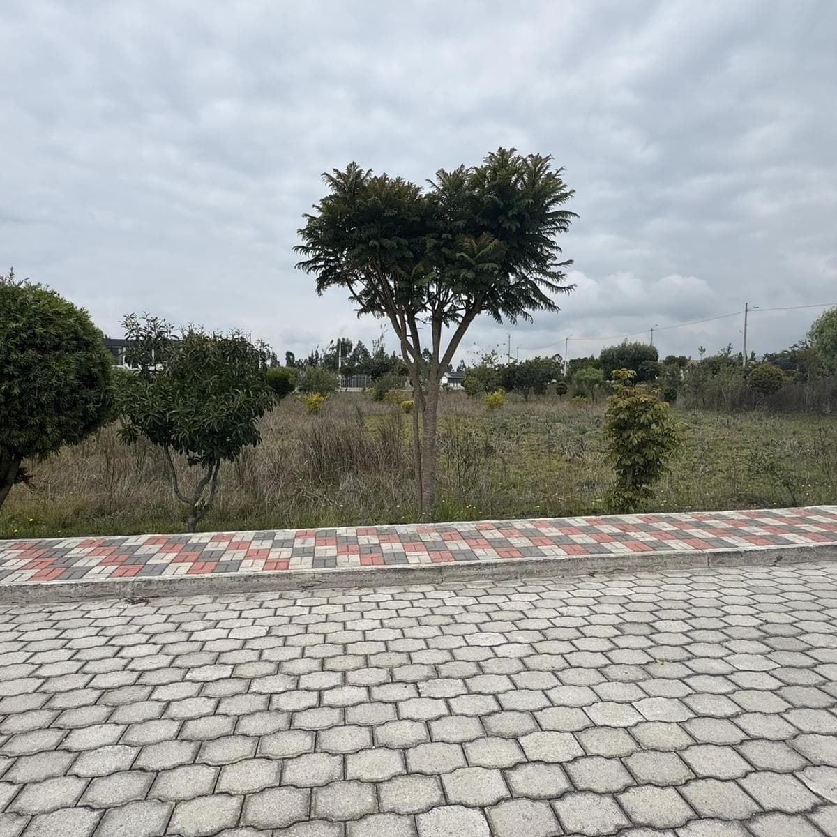 Venta Terreno de 1000 m² en Hacienda La Pradera Sector Tabacundo — imagen 1
