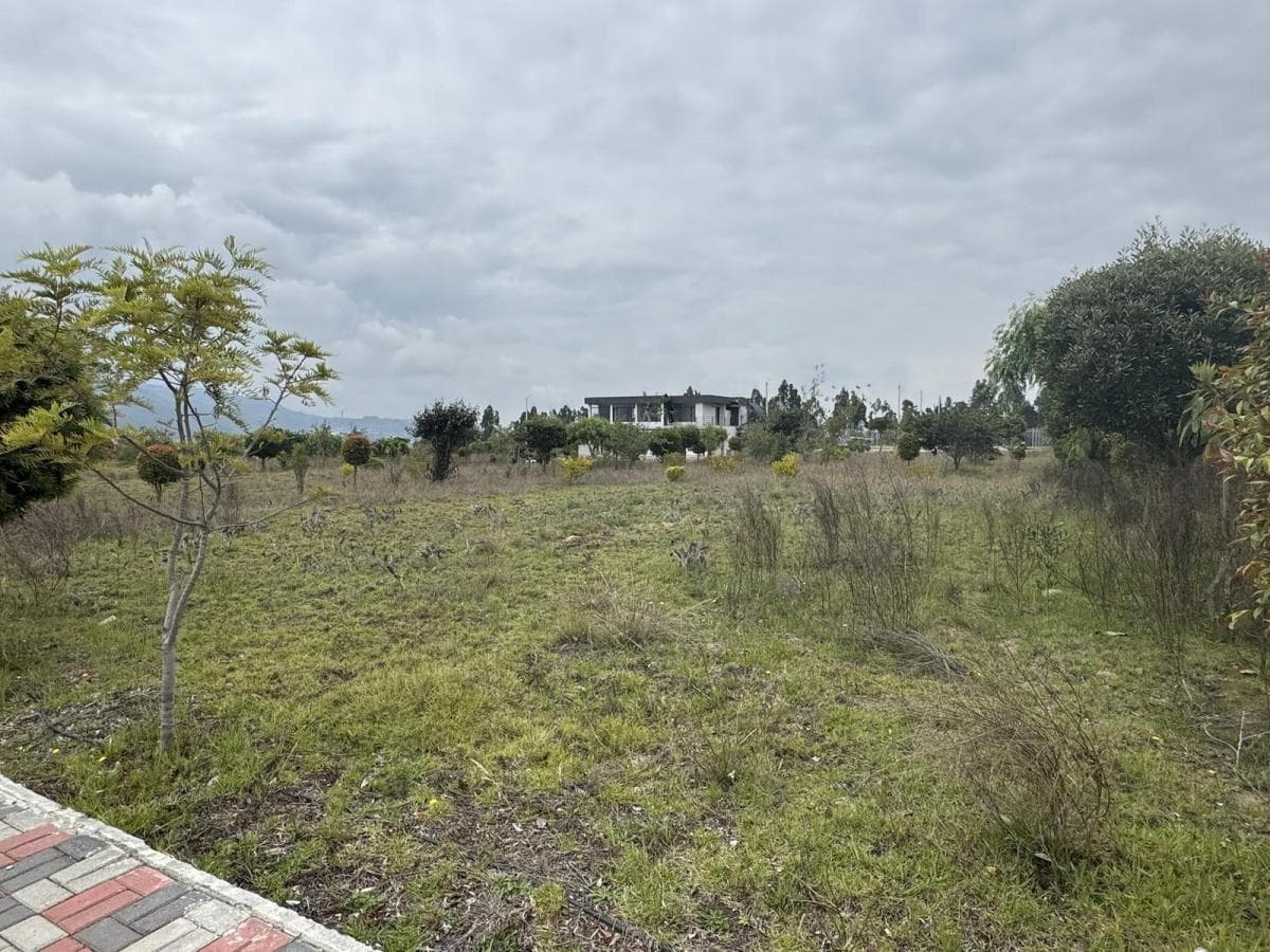 Venta Terreno de 1000 m² en Hacienda La Pradera Sector Tabacundo — imagen 10