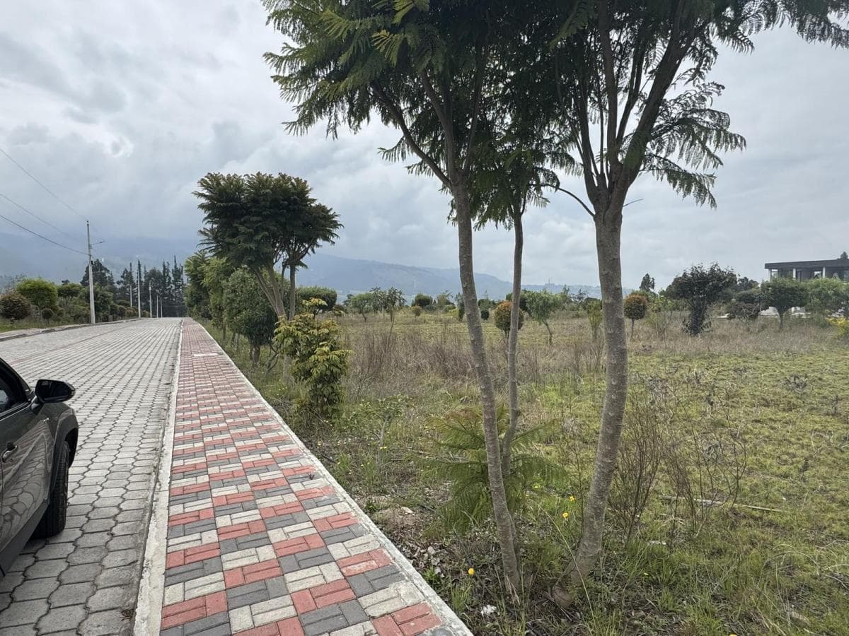 Venta Terreno de 1000 m² en Hacienda La Pradera Sector Tabacundo — imagen 8