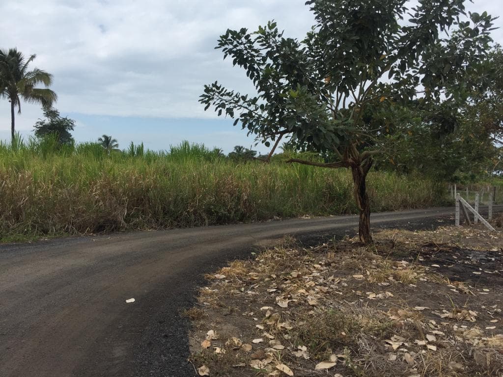 Terreno en venta en Pedernales, Manabí