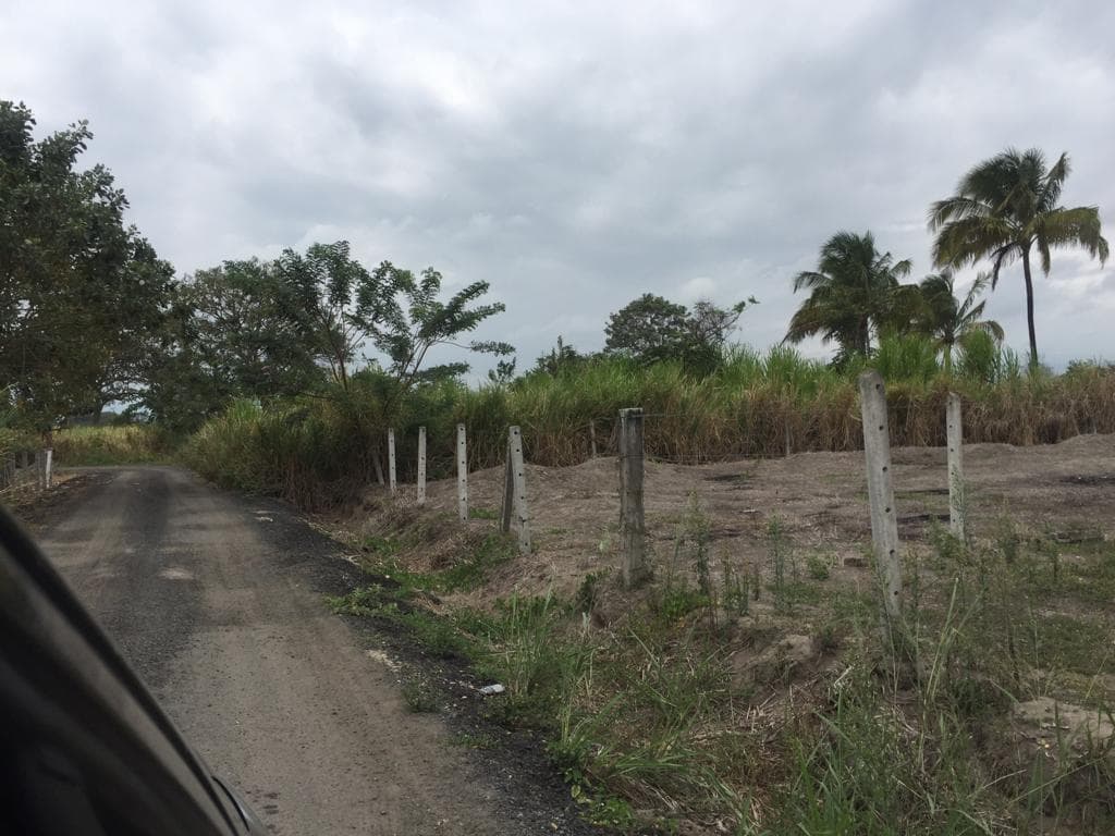 Terreno en Venta de 434 m² en Cojimíes - Pedernales Cerca a La Playa. Manabí — imagen 7