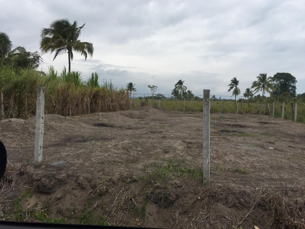 Terreno en Venta de 434 m² en Cojimíes - Pedernales Cerca a La Playa. Manabí — imagen 6