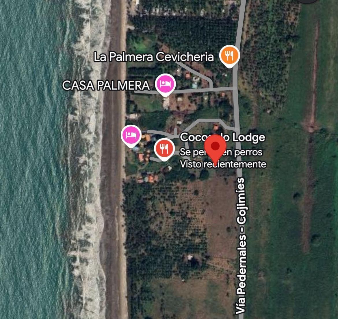 Terreno en Venta de 434 m² en Cojimíes - Pedernales Cerca a La Playa. Manabí — imagen 5