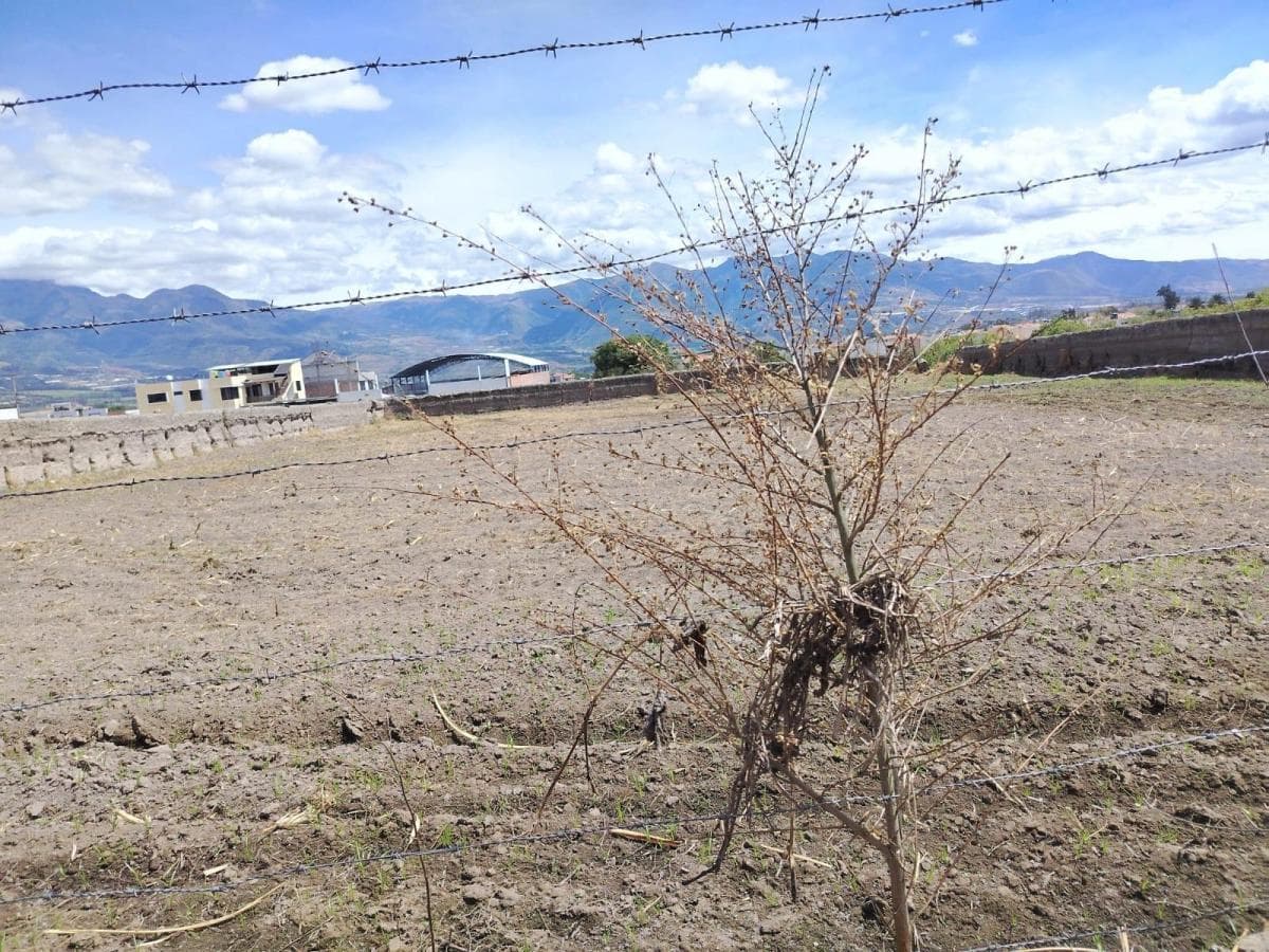 Terreno en Atuntaqui, Imbabura — imagen 8