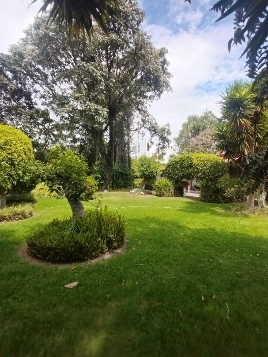Terreno de 2500 m² en Venta en Tumbaco — imagen 9