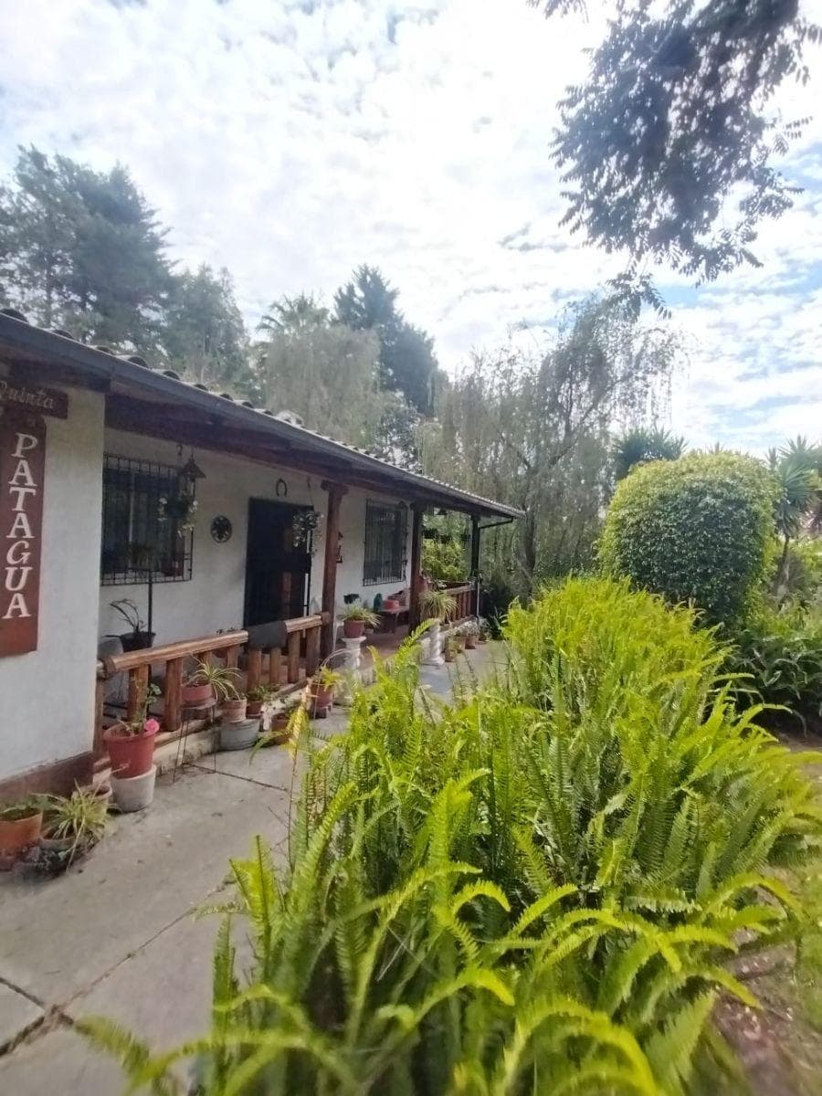 Terreno de 2500 m² en Venta en Tumbaco — imagen 7