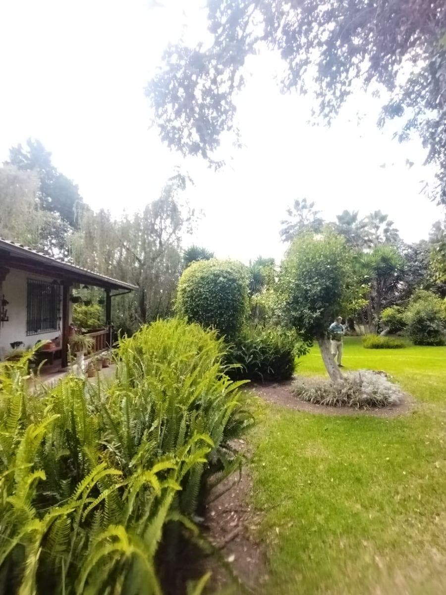 Terreno de 2500 m² en Venta en Tumbaco — imagen 5