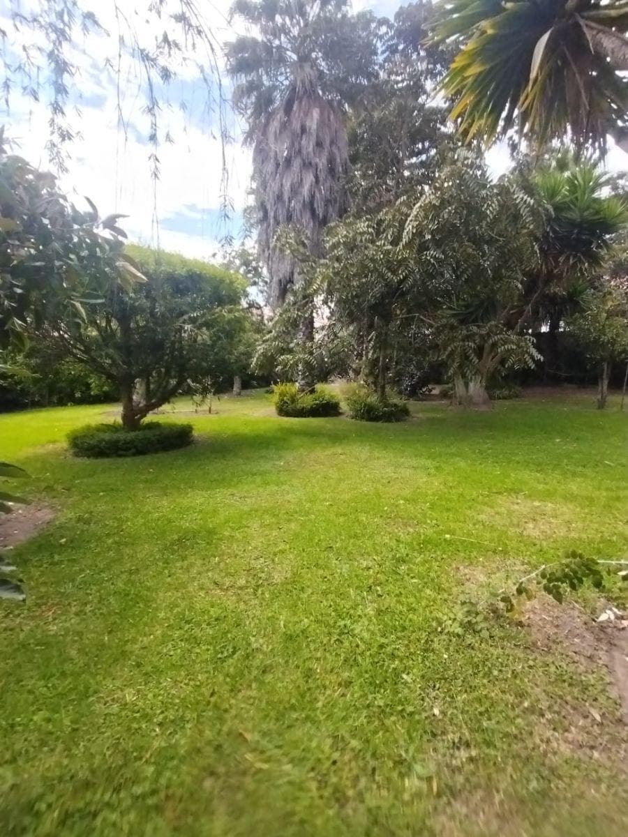 Terreno de 2500 m² en Venta en Tumbaco — imagen 4