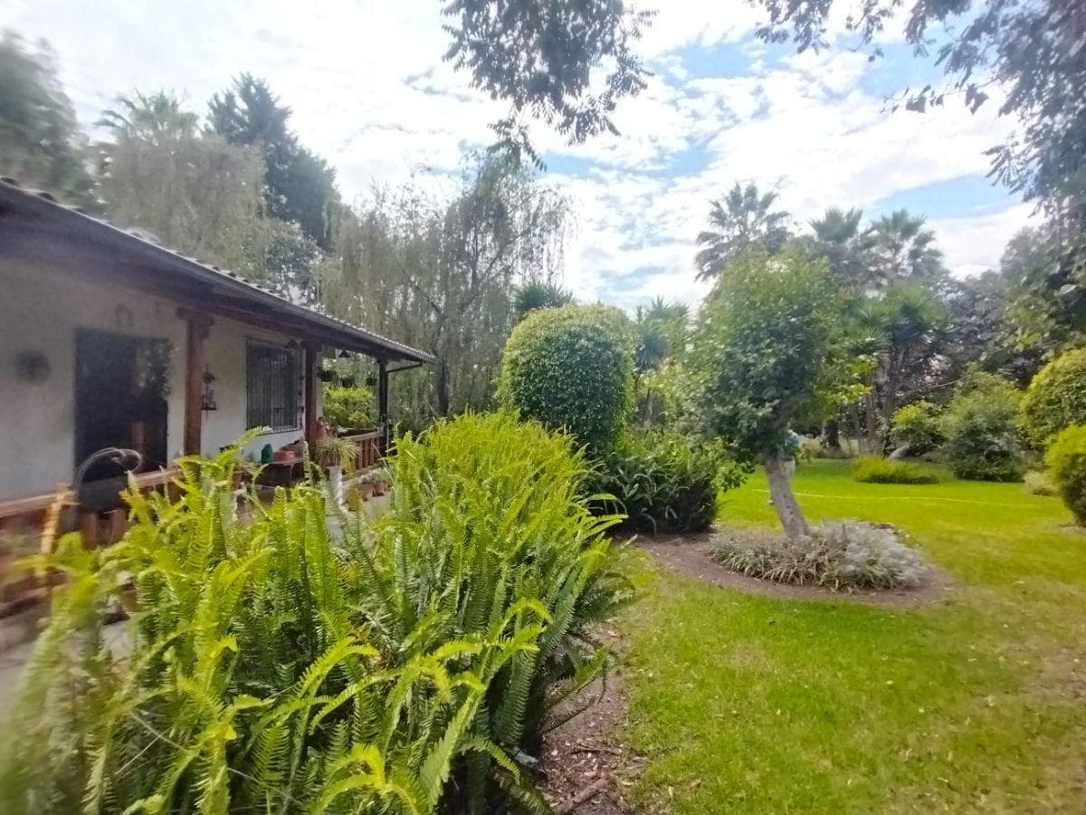 Terreno de 2500 m² en Venta en Tumbaco — imagen 3