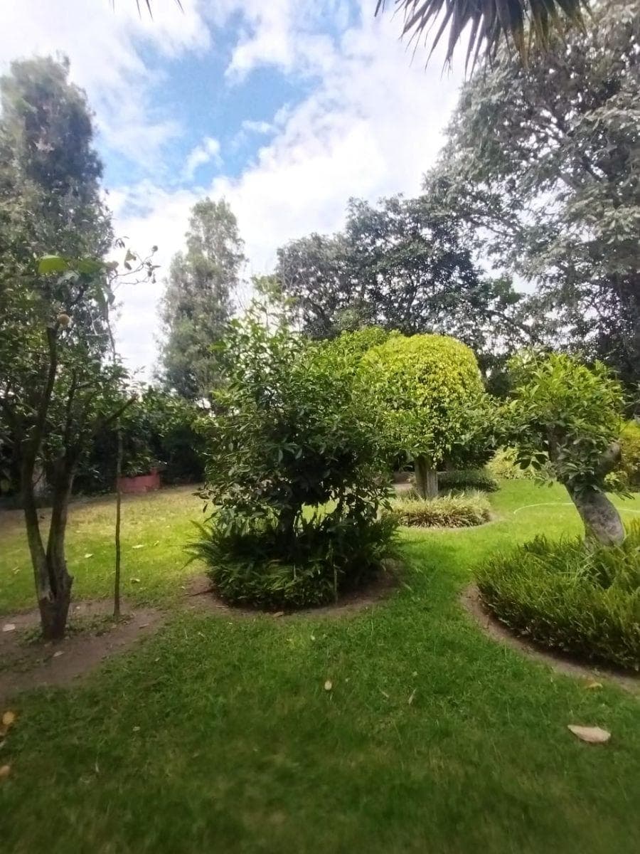 Terreno de 2500 m² en Venta en Tumbaco — imagen 2
