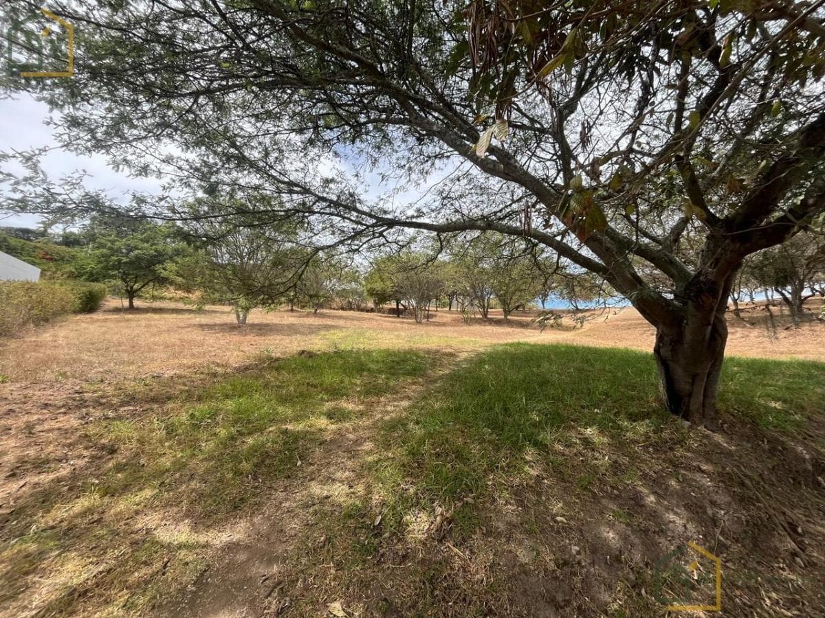 Terreno de Venta en La Urb La Quinta — imagen 5