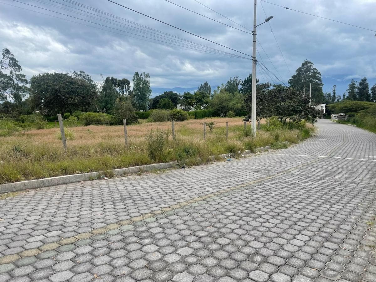 Venta Terreno de 3.999 m² en Nayón — imagen 8
