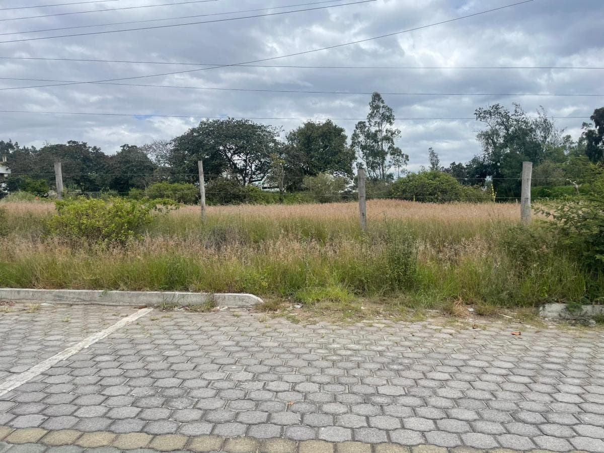 Venta Terreno de 3.999 m² en Nayón — imagen 6