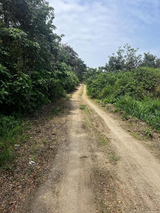 Terreno en venta en Pedernales, Manabí