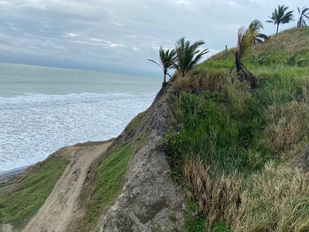 Venta Terreno Cultivo - Hotel Pedernales - Cojimies (Ecuador) 6300 m² Oportunidad, Manabí — imagen 9