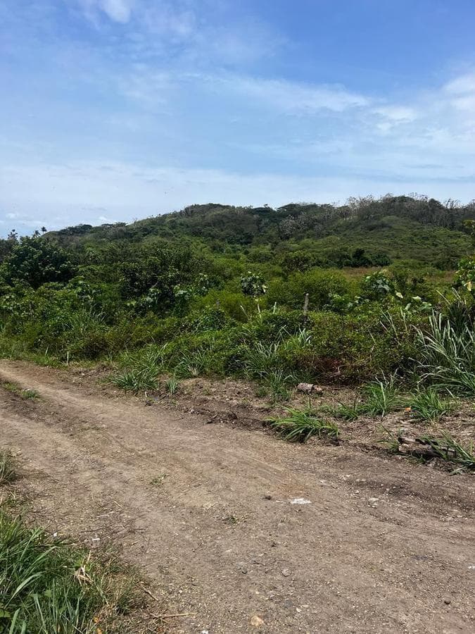 Venta Terreno Cultivo - Hotel Pedernales - Cojimies (Ecuador) 6300 m² Oportunidad, Manabí — imagen 8