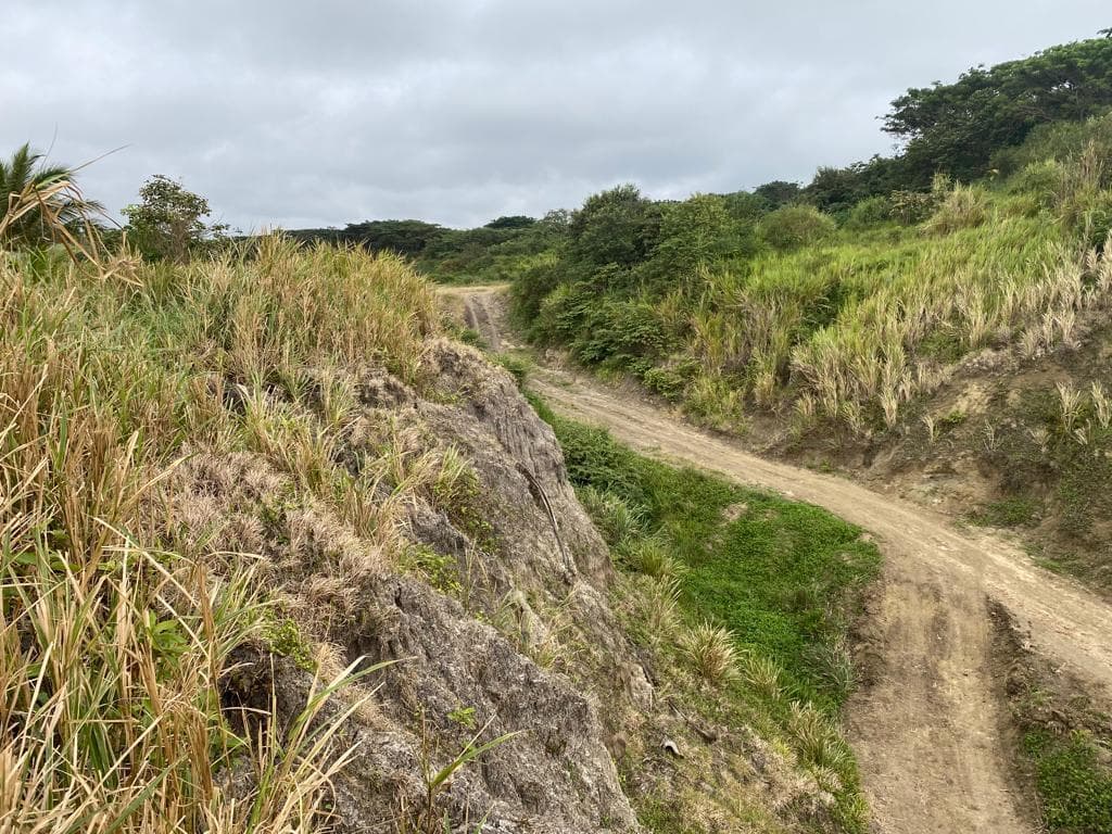 Venta Terreno Cultivo - Hotel Pedernales - Cojimies (Ecuador) 6300 m² Oportunidad, Manabí — imagen 7