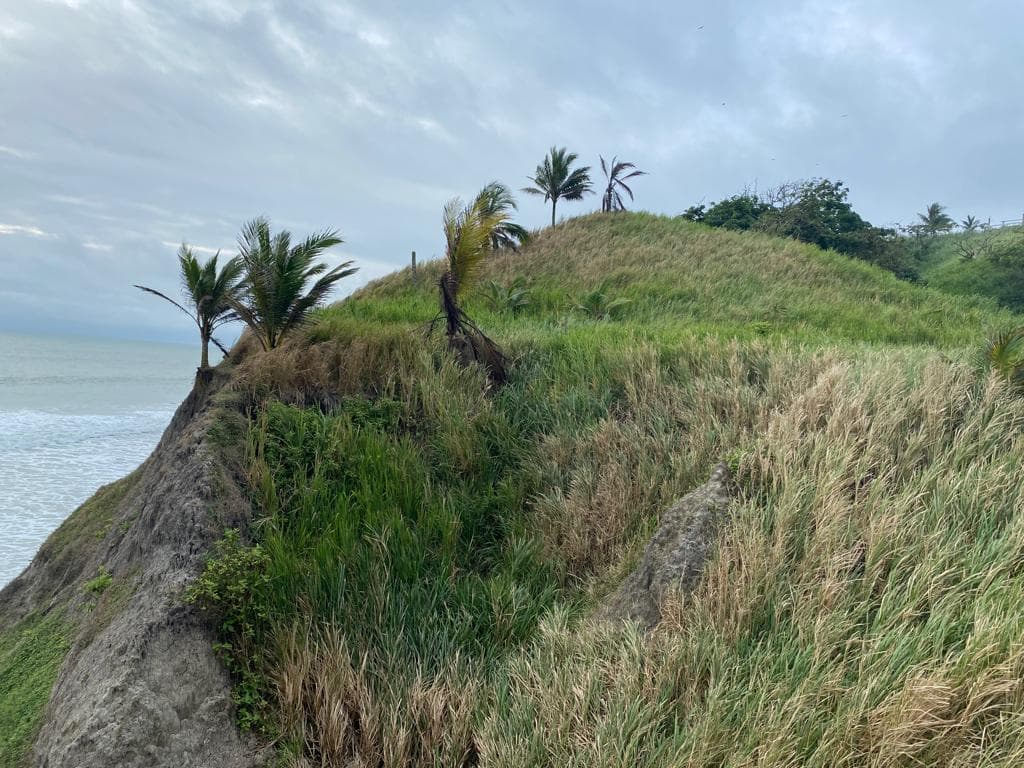 Venta Terreno Cultivo - Hotel Pedernales - Cojimies (Ecuador) 6300 m² Oportunidad, Manabí — imagen 5