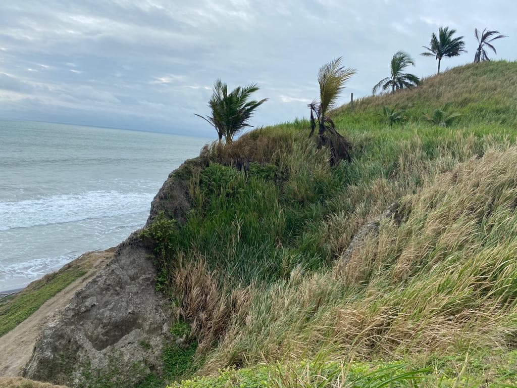 Venta Terreno Cultivo - Hotel Pedernales - Cojimies (Ecuador) 6300 m² Oportunidad, Manabí — imagen 2