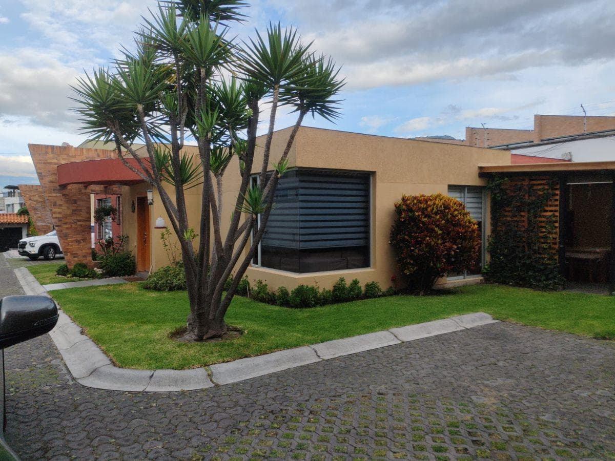 Vendo Casa de 162 m² en Una Sola Planta Dentro de Conjunto en La Primavera — imagen 1