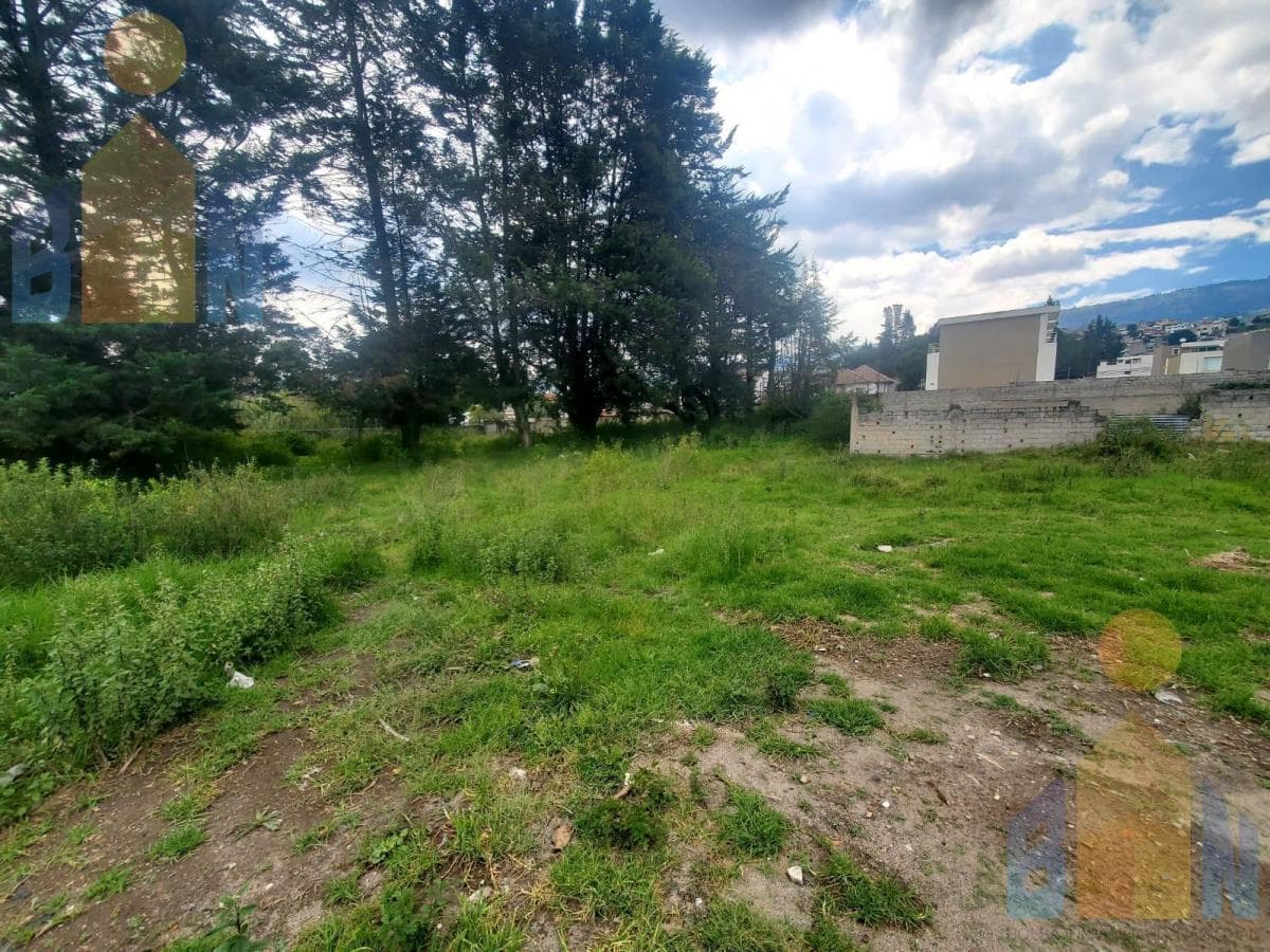 Terreno en Venta con Buena Ubicación en El Valle de Los Chillos Sector Armenia 1 — imagen 10