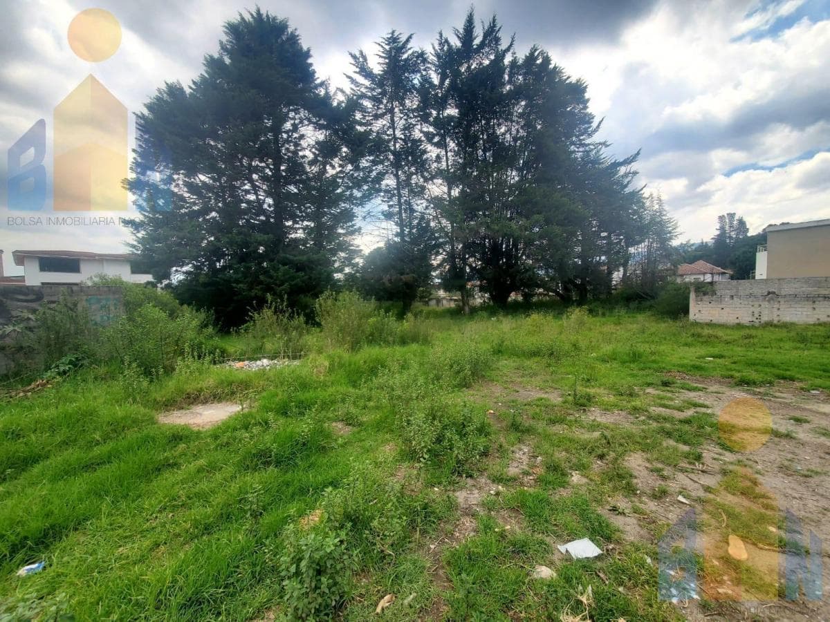 Terreno en Venta con Buena Ubicación en El Valle de Los Chillos Sector Armenia 1 — imagen 5