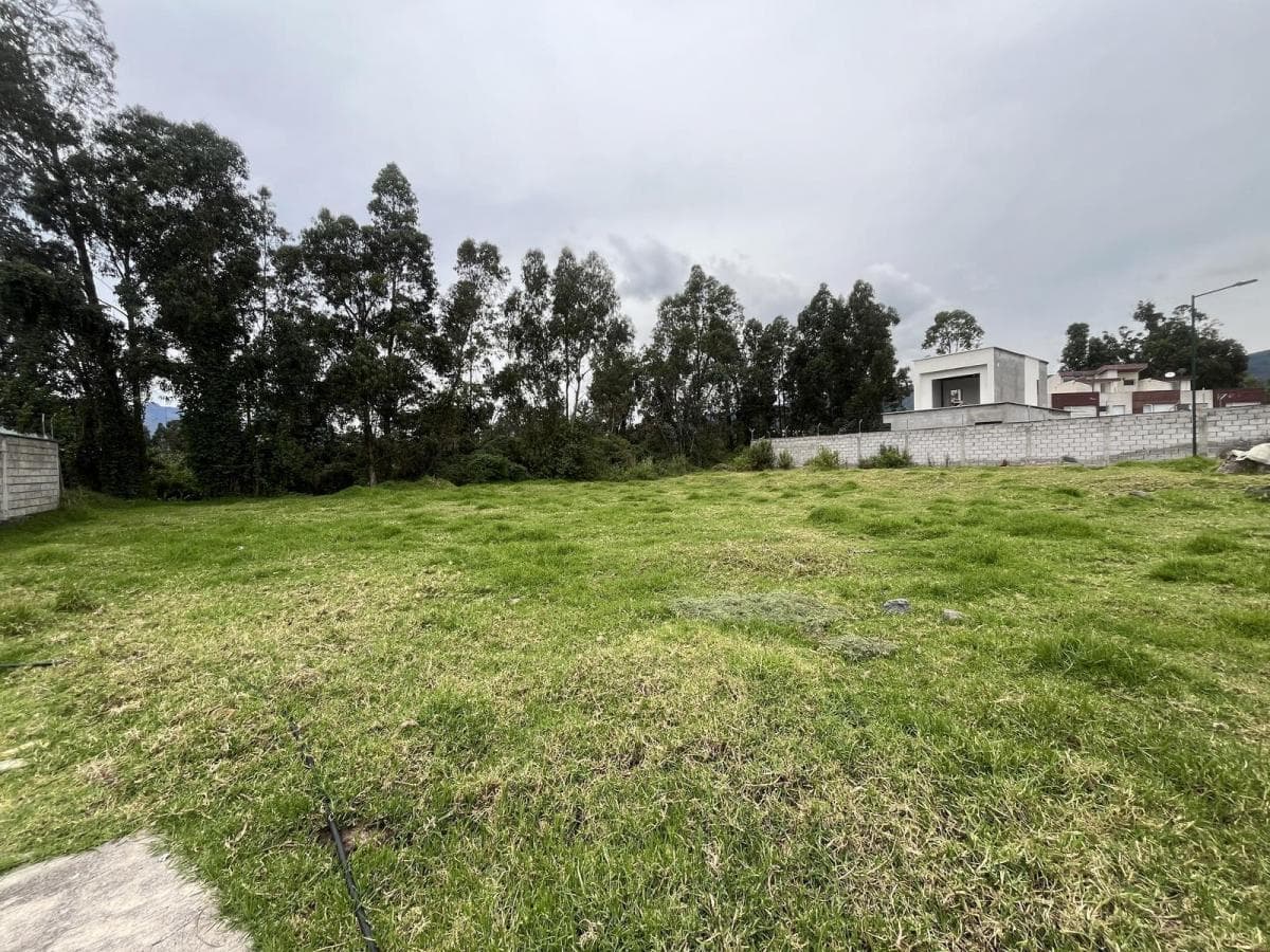 Oc - Sector Conocoto en Venta Terreno en Urbanización 557,38 m² — imagen 7