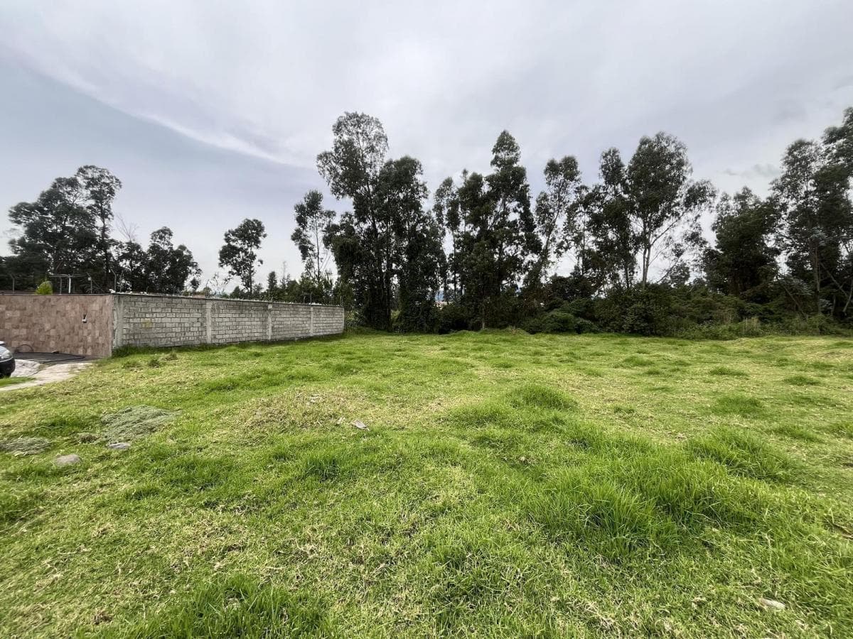 Oc - Sector Conocoto en Venta Terreno en Urbanización 557,38 m² — imagen 6