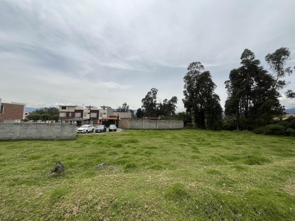 Oc - Sector Conocoto en Venta Terreno en Urbanización 557,38 m² — imagen 3