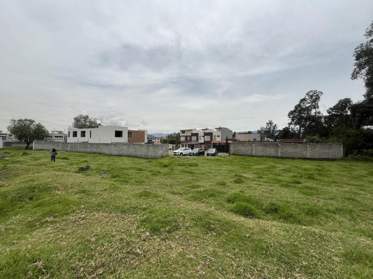 Oc - Sector Conocoto en Venta Terreno en Urbanización 557,38 m² — imagen 2