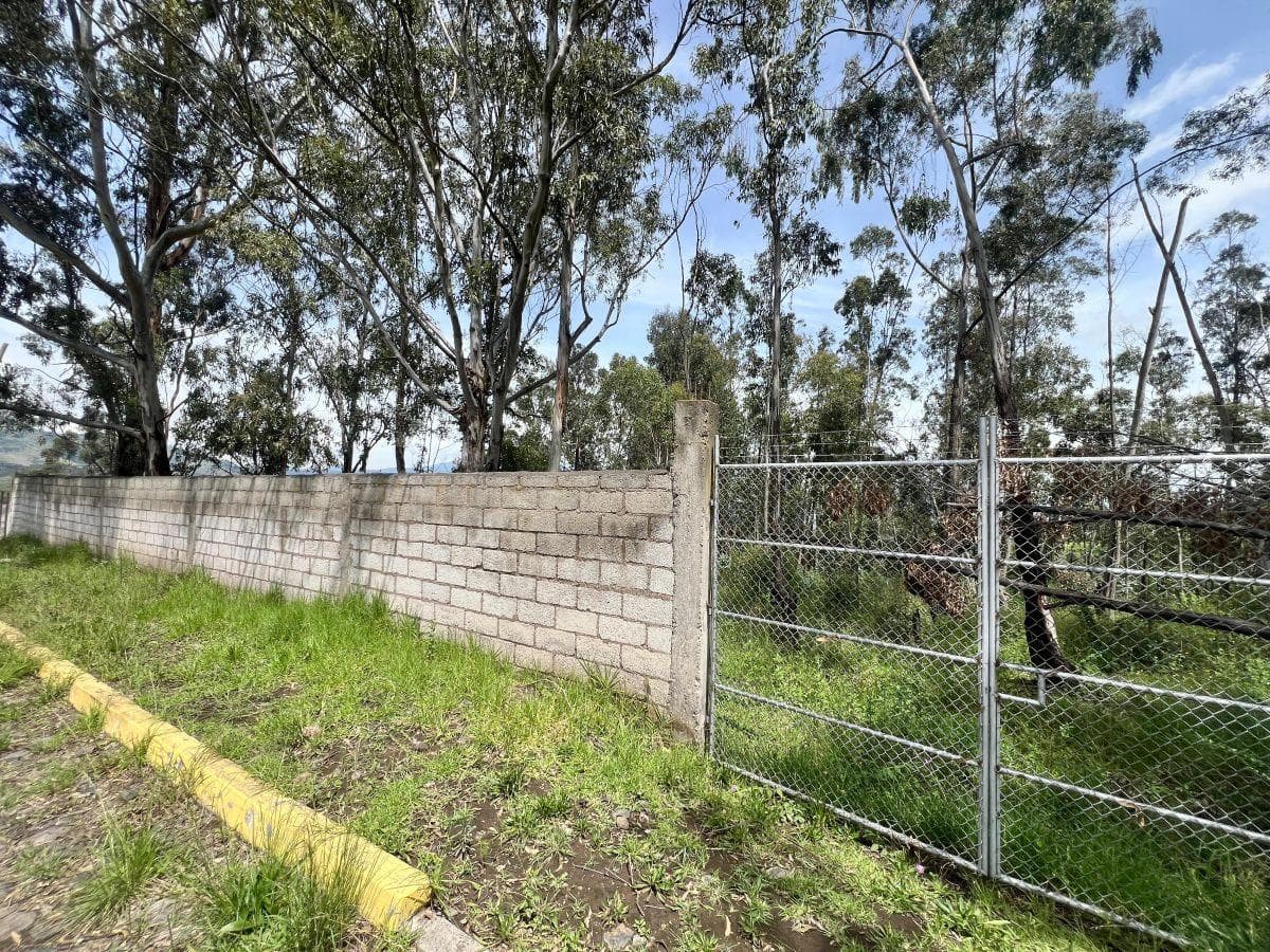 Terreno de Venta en Pifo 2.473 m² Ciudadela Wilson — imagen 6