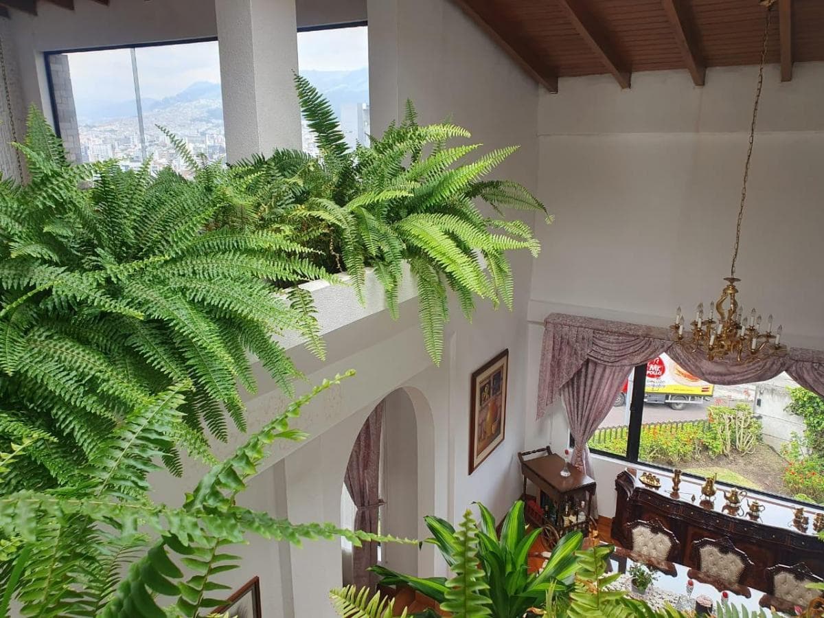 Espectacular Casa, Hermosa Vista, Amplios Espacios Sociales, Jardines, Salas — imagen 10