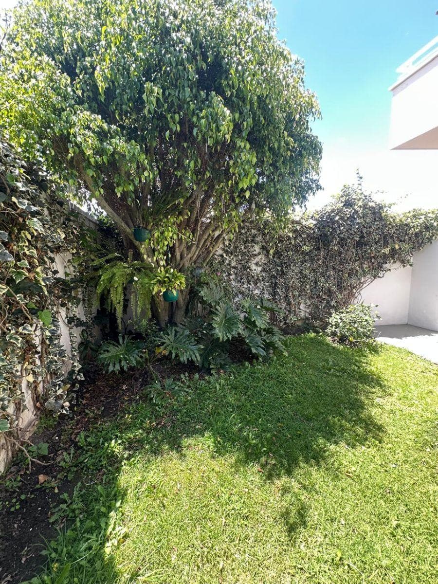 Miravalle 3 Casa de Venta — imagen 5
